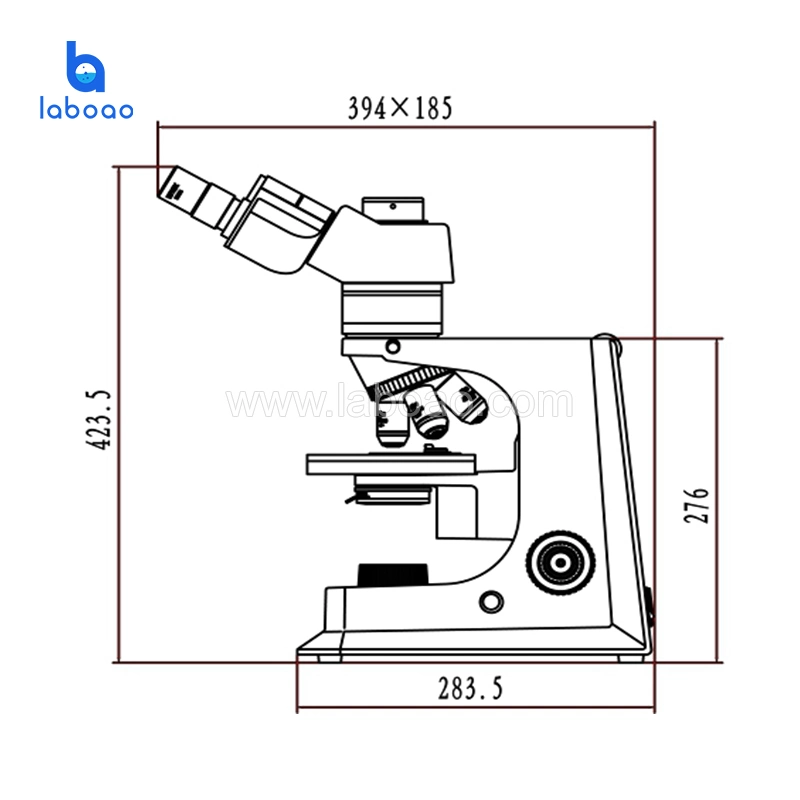 Adjustable Laboratory Digital Polarizing Microscope Ued in Scientific Study